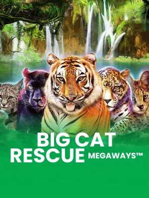 Resgate De Felinos Megaways™